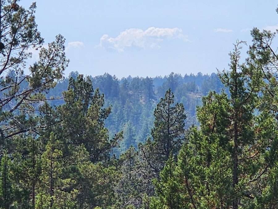 1.9 Aces of Trees and Nature in Klamath Oregon! NEAR 6,000 ACRES OF BLM LAND!!