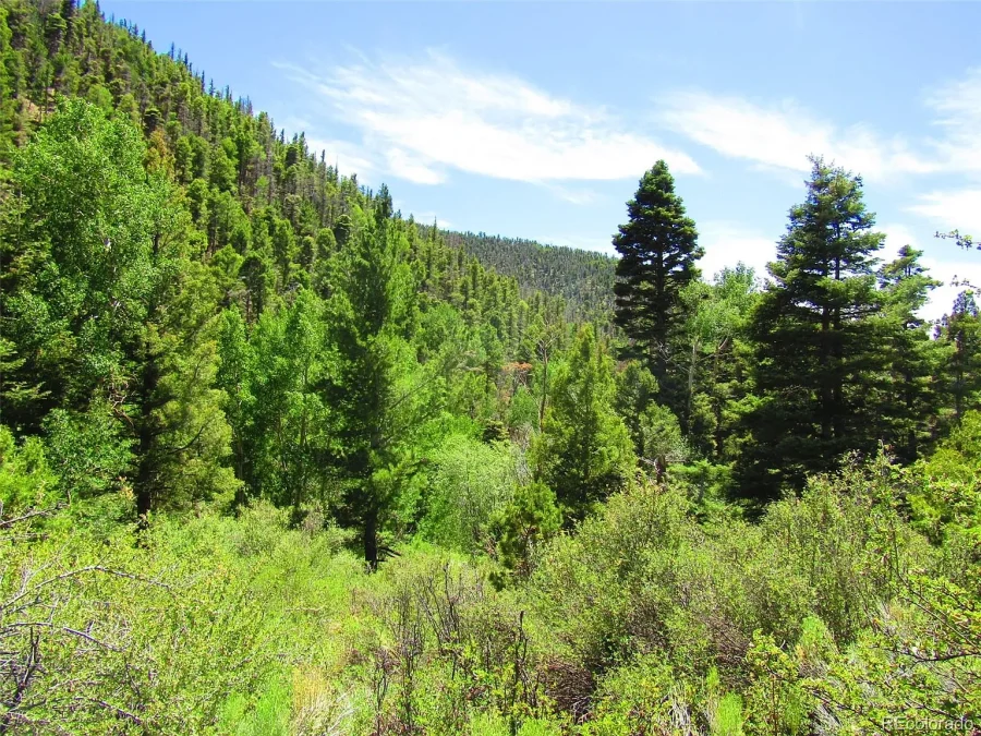 OVERSIZED 9.3 Acres WITH TREES IN THE COLORADO MOUNTAINS!