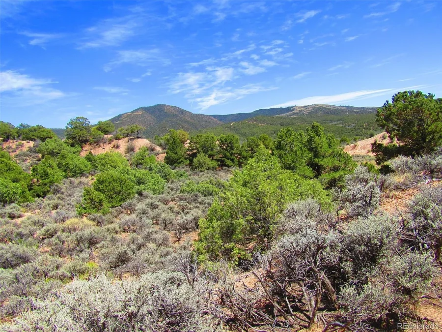 Easy Access!!-5 ACRES with TREES IN THE COLORADO MOUNTAINS NEAR FORT GARLAND