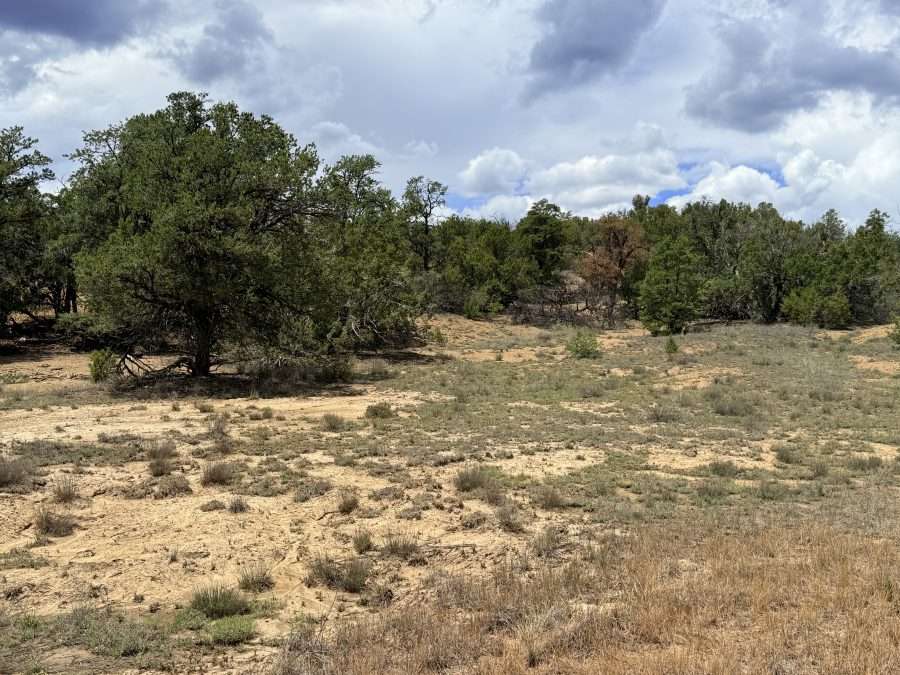 3.1 Acres in Beautiful Candy Kitchen NM-NO RESTRICTIONS!!!